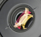 mini-DSCN5575 copy.jpg